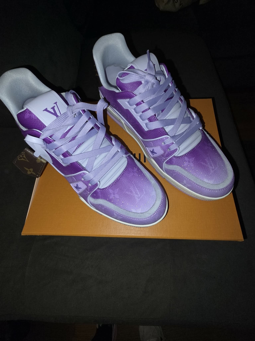 Louis Vuitton Purple and Lavender Low-Top Sneakers